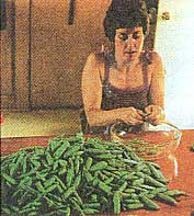 Popping Lincoln peas.